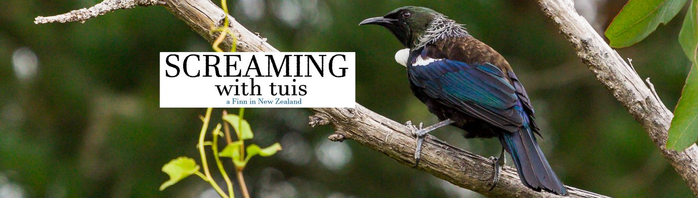 Screaming with tuis